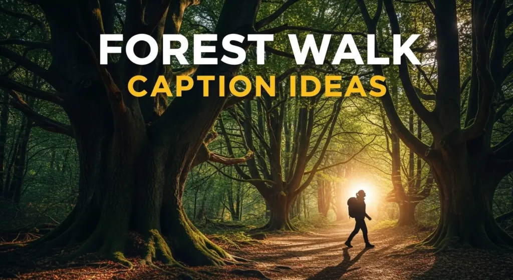Forest Walk Caption Ideas