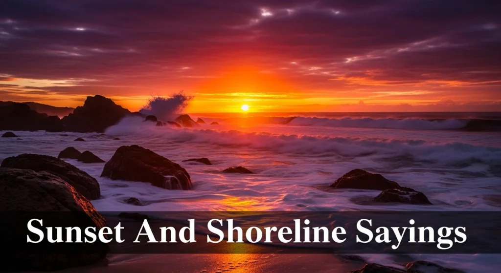 Sunset And Shoreline Sayings