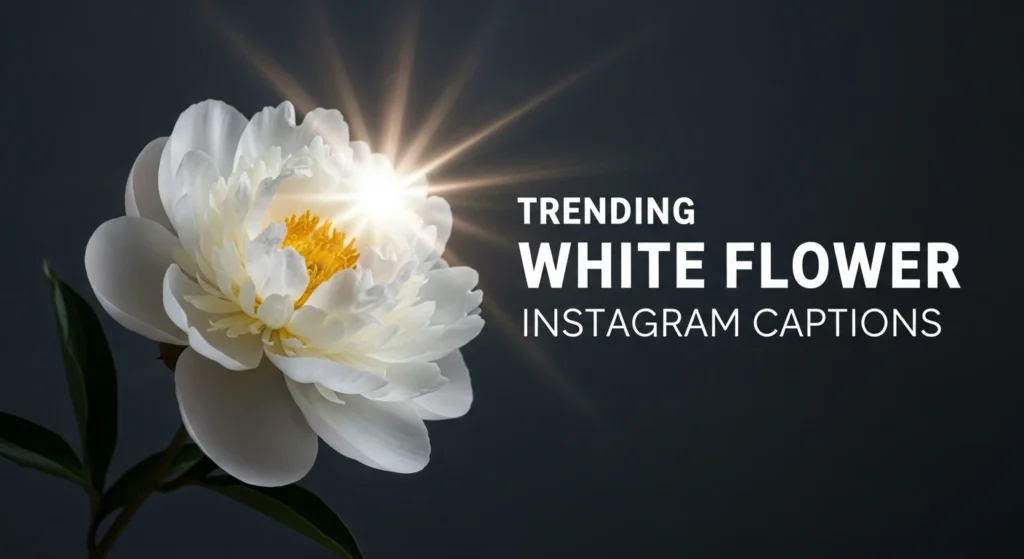 Trending White Flower Instagram Captions